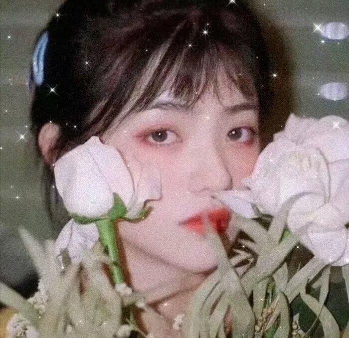 献给检察官的玫瑰花